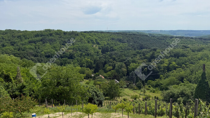 19. kép | Eladó Zárt kert, Zalaegerszeg (#182289)