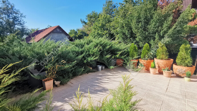 22. kép | Eladó Családi ház, Székesfehérvár (#177454)