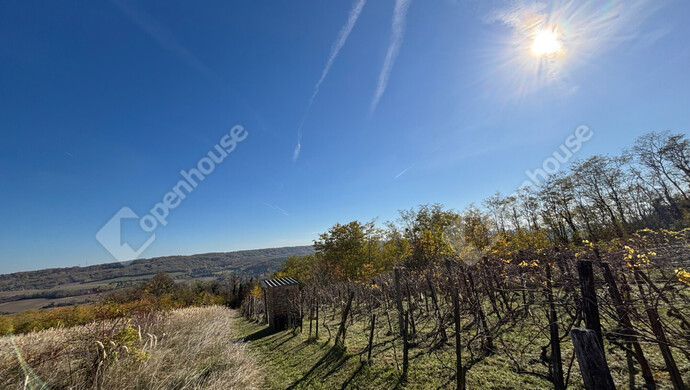 19. kép | Eladó Zárt kert, Pethőhenye (#178124)