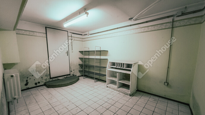 42. kép | Eladó Családi ház, Hegyeshalom (#180272)