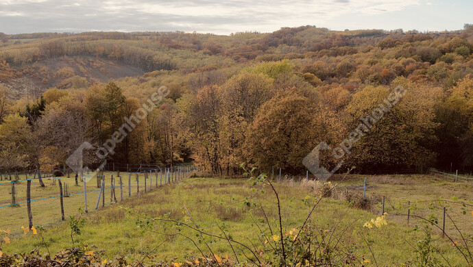 23. kép | Eladó Családi ház, Nagybakónak (#178753)