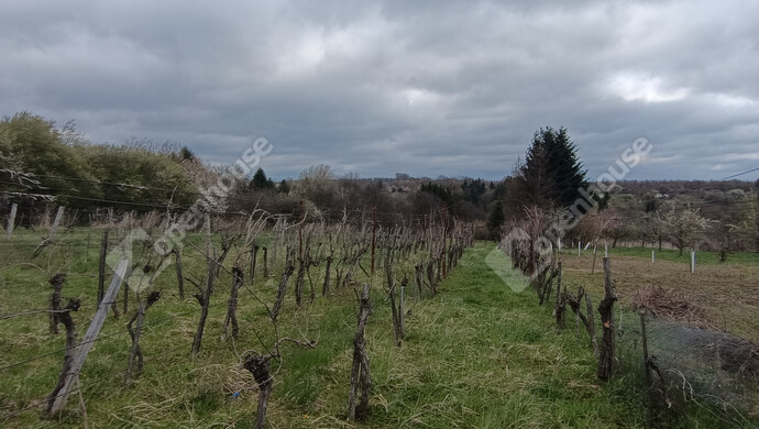 22. kép | Eladó Családi ház, Nagykanizsa (#180983)