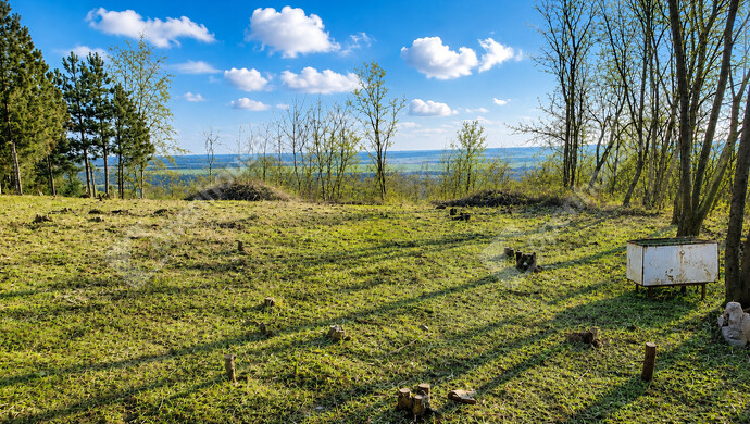 7. kép | telek utcafronti területe és a panoráma | Eladó Telek, Emőd (#183098)
