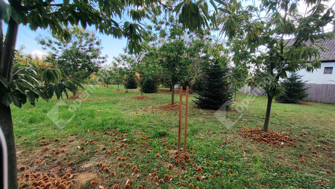 35. kép | Eladó Nyaraló, Nagykanizsa (#177970)