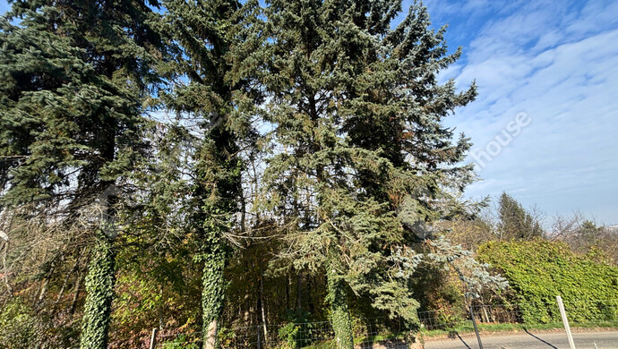 4. kép | Eladó Telek, Zalaegerszeg (#178337)