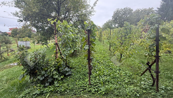 31. kép | Eladó Zárt kert, Zalaegerszeg (#177101)