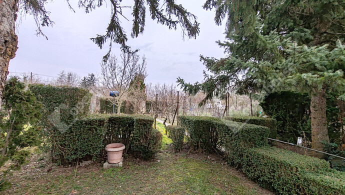 1. kép | Eladó Családi ház, Vámosszabadi (#180276)