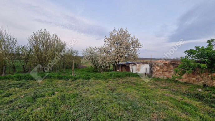 9. kép | Eladó Családi ház, Csép (#181084)