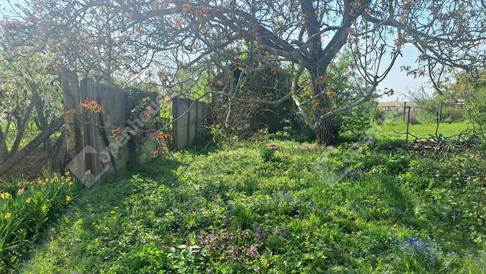 9. kép | Eladó Családi ház, Újkér (#181156)