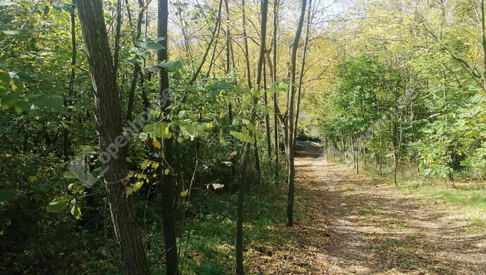 16. kép | Eladó Nyaraló, Zalaigrice (#178070)