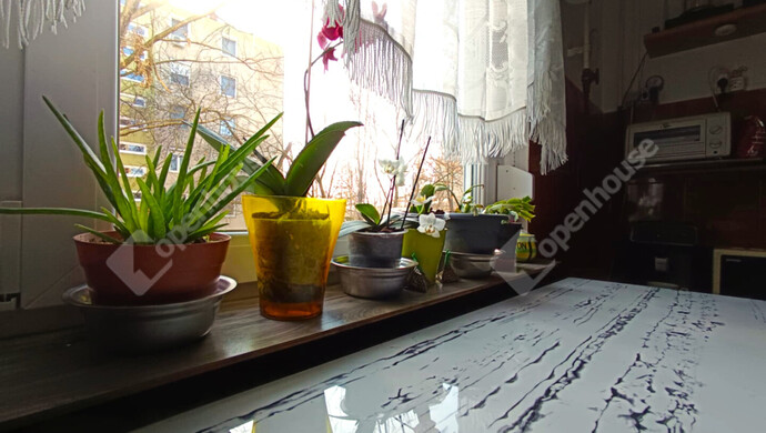 5. kép | Eladó Társasházi lakás, Hódmezővásárhely (#179657)