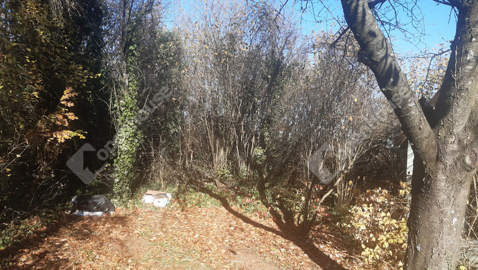 9. kép | Eladó Nyaraló, Sand (#178225)