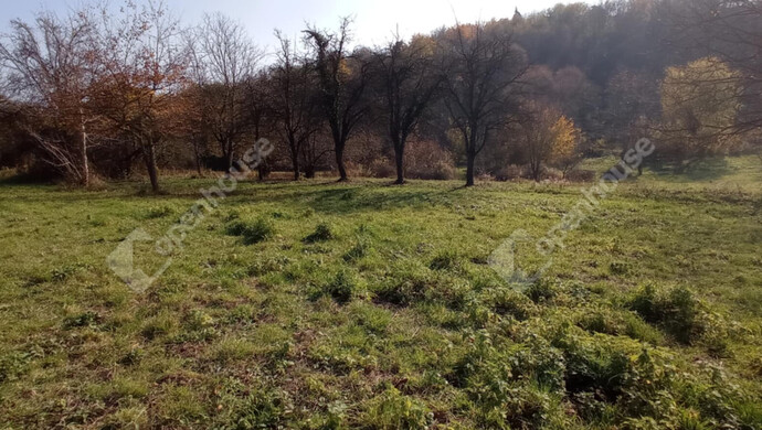 5. kép | Eladó Zárt kert, Zalaegerszeg (#69558)