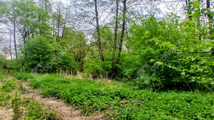 12. kép | Eladó Telek, Zalaegerszeg (#181405)