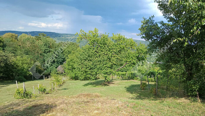 0. kép | Eladó Zárt kert, Zalaegerszeg (#184682)