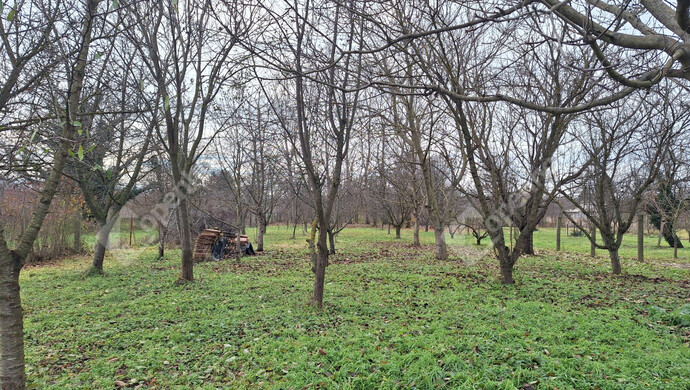 20. kép | Eladó Családi ház, Marcali (#179117)