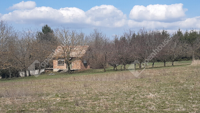 38. kép | Eladó Zárt kert, Sand (#180348)