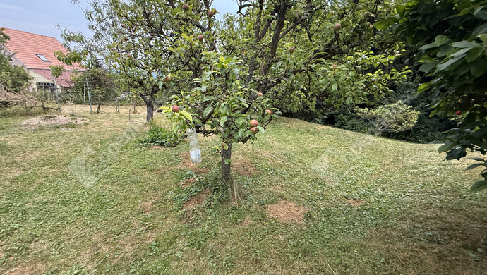 31. kép | Eladó Nyaraló, Zalaegerszeg (#175768)