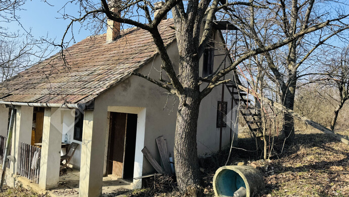 3. kép | Eladó Családi ház, Hollád (#177734)