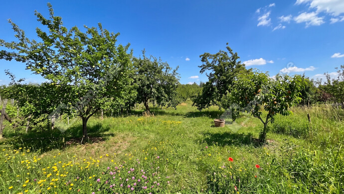 1. kép | Eladó Zárt kert, Nyékládháza (#181266)