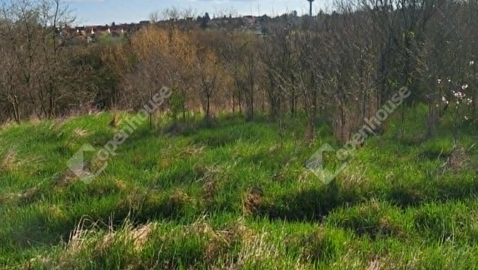 16. kép | Eladó Családi ház, Kaposvár (#182788)