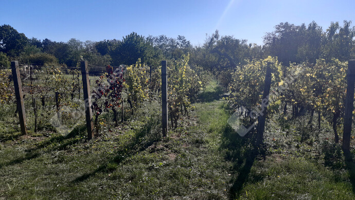 17. kép | Eladó Nyaraló, Nagykanizsa (#177111)