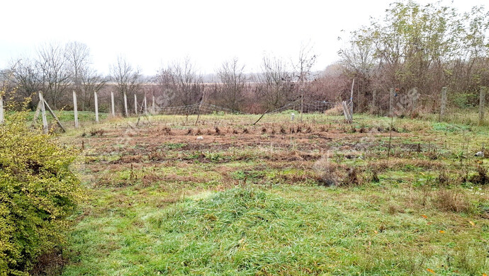 12. kép | Eladó Családi ház, Kenézlő (#178368)