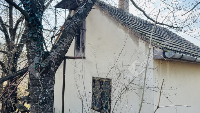 8. kép | Eladó Családi ház, Hollád (#177734)