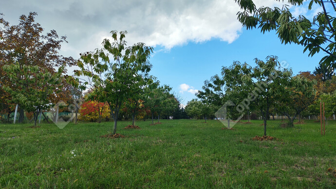 62. kép | Eladó Nyaraló, Nagykanizsa (#177970)