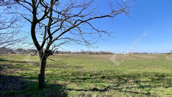 37. kép | Eladó Családi ház, Töltéstava (#180425)