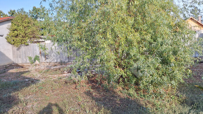 6. kép | Eladó Családi ház, Szegvár (#177421)