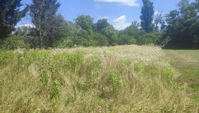 30. kép | Eladó Nyaraló, Szepetnek (#176202)