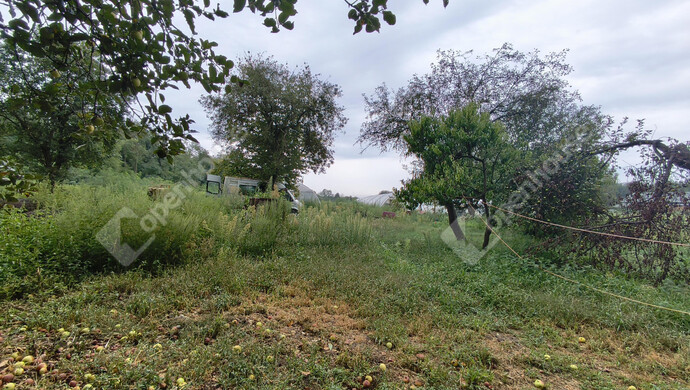 11. kép | Eladó Családi ház, Marcali (#177836)