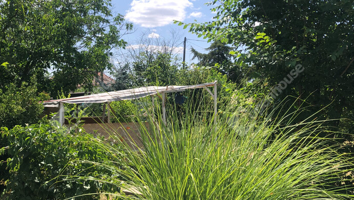 12. kép | Eladó Zárt kert, Szatymaz (#172857)