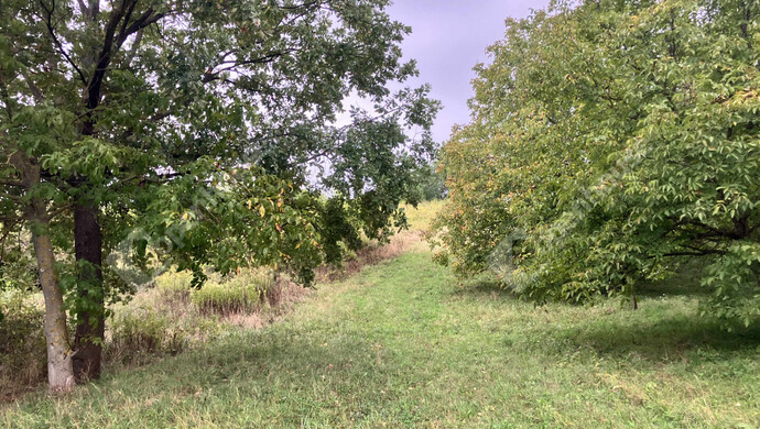 9. kép | Eladó Telek, Vöckönd (#177205)