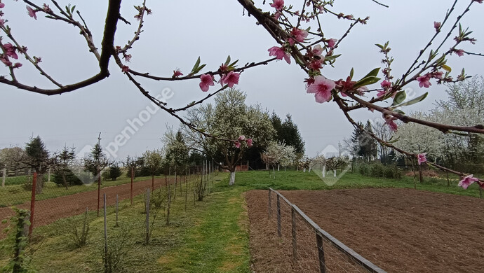 38. kép | Eladó Családi ház, Nagykanizsa (#181326)