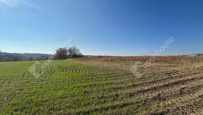 0. kép | Eladó Telek, Gomba (#178274)