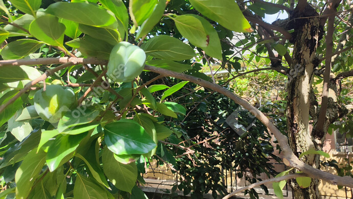 45. kép | Eladó Családi ház, Porrogszentkirály (#178270)