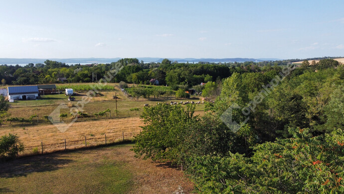 6. kép | Eladó Telek, Balatonszárszó (#175510)