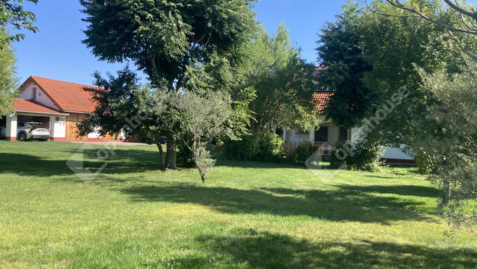 17. kép | Eladó Tanya, Kiskunfélegyháza (#176336)