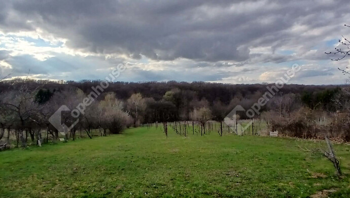 4. kép | Eladó Zárt kert, Lenti (#180464)