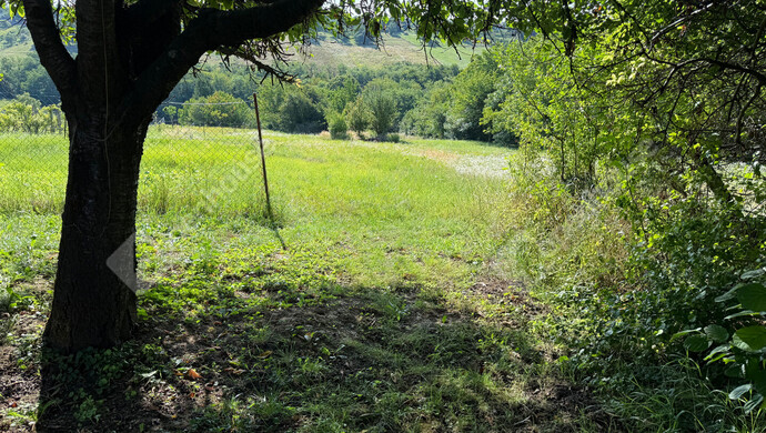 18. kép | Eladó Családi ház, Zalaegerszeg (#176363)