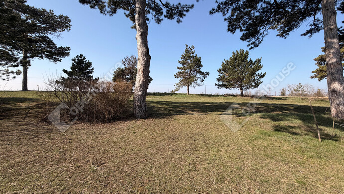 19. kép | Eladó Sorház, Keszthely (#180248)