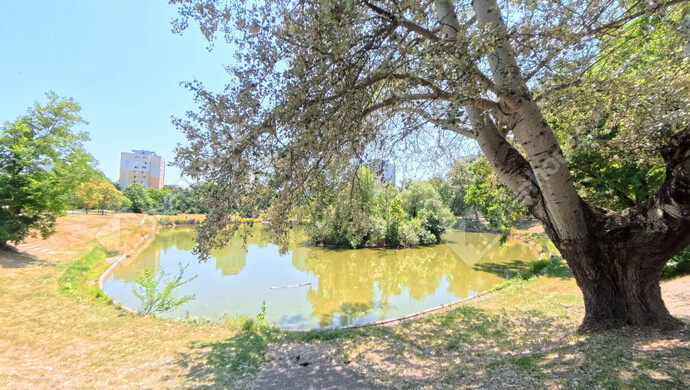 11. kép | Kiadó Társasházi lakás, Szeged (#175724)