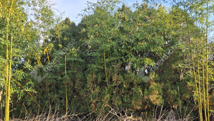 19. kép | Eladó Telek, Mocsa (#178255)