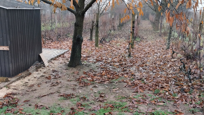 6. kép | Eladó Nyaraló, Celldömölk (#179021)