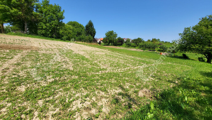 23. kép | Eladó Családi ház, Bak (#179661)