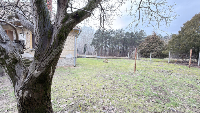 13. kép | Eladó Családi ház, Győr (#179766)