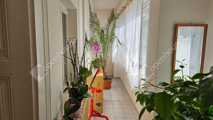 9. kép | Eladó Családi ház, Tényő (#180363)