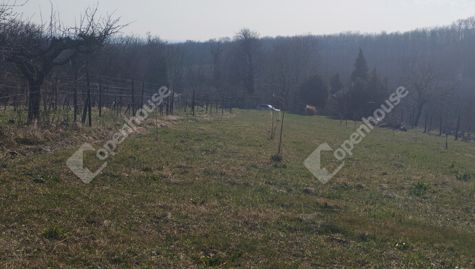 25. kép | Eladó Nyaraló, Becsehely (#180205)